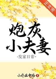 炮灰小夫妻发家日常封面